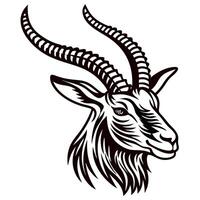 Hand drawn antelope head with long curved horns in vintage engraved isolated on white background vector