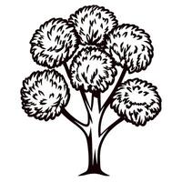 Elegant black and white ornamental tree with round foliage and detailed trunk illustration on white background vector