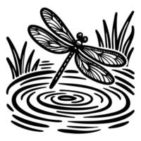 Intricate hand drawn dragonfly hovering above rippling pond water with reeds in vintage engraving vector