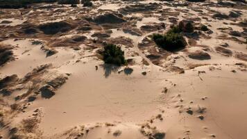 Top-down drone shot of sandy desert with sparse vegetation and shadows. video
