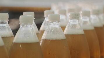 Closeup of beverage containers during filling video
