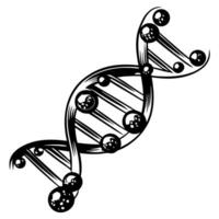 Scientific illustration of a dna double helix strand in black and white isolated on a simple plain background vector