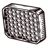 Hand drawn honeycomb block vintage engraved rectangular hexagonal wax pattern isolated on white background vector