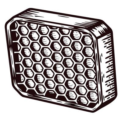 Hand drawn honeycomb block vintage engraved rectangular hexagonal wax pattern isolated on white background