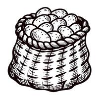 Hand drawn sack filled with potatoes isolated on white background vintage engraving sketch illustration vector