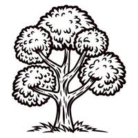 Hand drawn leafy tree illustration with thick branches and foliage isolated on white background vector