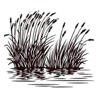 Silhouette of reed plants by water with reflective surface vector