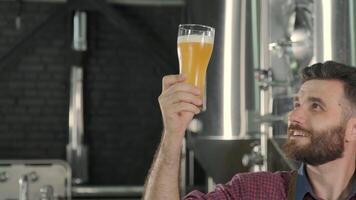 Man in apron inspecting beer sample with brewing tanks in background video