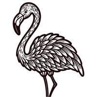 Hand drawn flamingo bird standing detailed vintage black ink illustration with intricate feather pattern vector