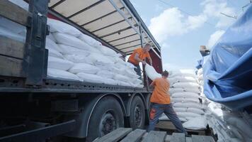 Distribution worker tossing sack into pile during unloading. video