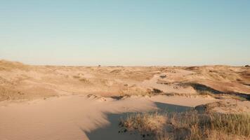 Wind Formed Dunes in Desert Landscape with Sparse Vegetation video