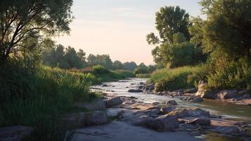 Vibrant high-resolution image of outdoor natural setting and natural beauty photo
