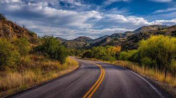 Serene country drive photo with vivid forest background