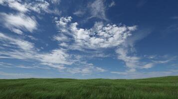 Bright and sharp summer nature image photo