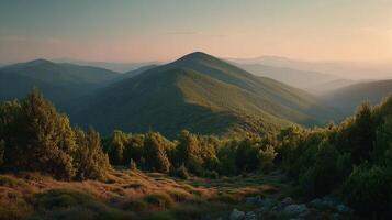 Sharp textures and tones in scenic nature photo and natural beauty