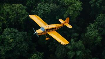 Yellow Aircraft Flying Over Dense Forest Landscape During Daylight Hours. photo