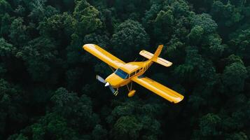 Yellow Aircraft Flying Over Dense Forest Landscape During Daylight Hours photo