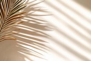Shadows Cast by Palm Leaves Create a Stunning Pattern on a Light Wall During Daytime photo