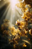 Bright Sunlight Filters Through Blooming Yellow Flowers Attracting Busy Bees in a Lush Garden photo