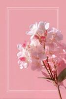 Beautiful Arrangement of Pink Flowers on a Soft Pink Background Suitable for Decoration and Design. photo