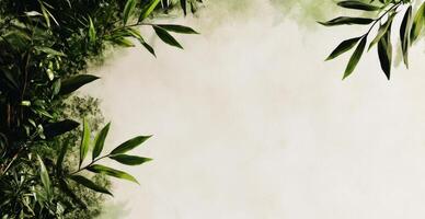 Green Leaves Border Creating a Natural Frame for a Neutral Background Suitable for Design Projects photo