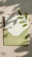 Elegant Green Envelope With Leaf Shadow on Soft Beige Background During Daylight photo