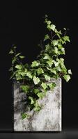 Stylish Marble Planter With Ivy Against Dark Background Enhances Indoor Greenery. photo