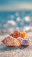 Colorful Seashells Scattered on Sandy Beach With Sunlit Waves in Background. photo