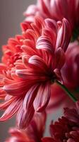 Vibrant Red Flower Blooms in Close-Up Capturing Delicate Petals and Intricate Details in a Garden Setting. photo