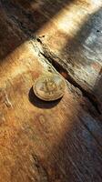 Bitcoin Coin Resting on Rustic Wooden Surface With Dramatic Light and Shadow Play photo
