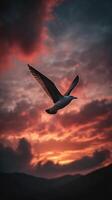Majestic Hawk Soaring Against a Dramatic Sunset Over Mountain Landscape. photo