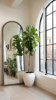 Bright Interior With a Fiddle Leaf Fig Plant Beside a Large Mirror Near an Elegant Window photo