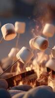 Marshmallows Roasting Over a Campfire During Evening Gathering in the Woods. photo