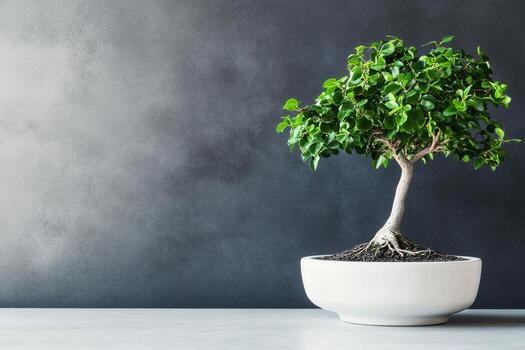 Stylish Bonsai Tree in Modern Pot on Minimalist Table Against Textured Wall. photo