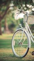 Bicycle Resting in a Sunny Park With Lush Greenery and a Vintage Wicker Basket. photo