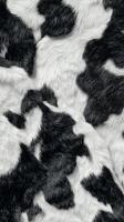 Close View of Black and White Cowhide Showing Unique Pattern and Texture in Rural Environment. photo