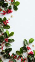 Holiday Foliage Arrangement With Berries and Flowers on a Light Background photo