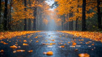 Autumn Rain Falls on a Serene Pathway Lined With Vibrant Leaves in a Tranquil Forest Setting. photo