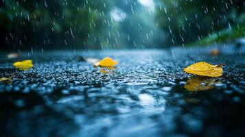 Raindrops Falling on Pavement With Scattered Yellow Leaves During a Rainy Day in a Tranquil Outdoor Setting photo