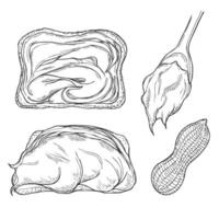 Peanut butter and ingredient for peanut butter toast sketch. vector