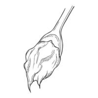 Peanut butter spoon hand drawn. spread cream, bread hazelnut, jar bowl, knife butter, nut creamy chocolate paste spoon sketch. isolated black illustration vector