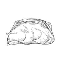 Peanut Butter Toast sketch. Illustration isolated vector