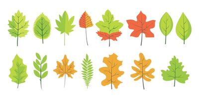 Set spring and autumn leaves isolated on transparent background vector