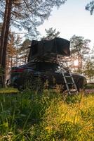 A modern SUV with a rooftop tent and metal ladder is parked in a forest. Sunlight filters through tall pine trees, highlighting the grassy foreground. photo