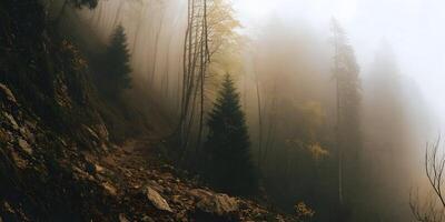 Misty Mountain Trail Autumn Forest Scenery Tall Trees Foggy Landscape photo