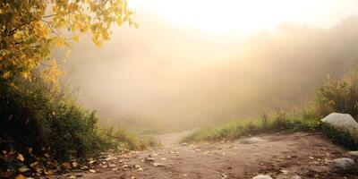 Misty Autumn Path Golden Sunlight Foggy Woods Trail Landscape photo