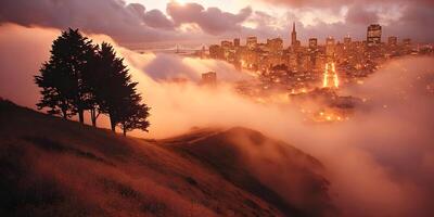 SanFrancisco Cityscape Sunrise Fog GoldenGateBridge Trees Hilltop photo
