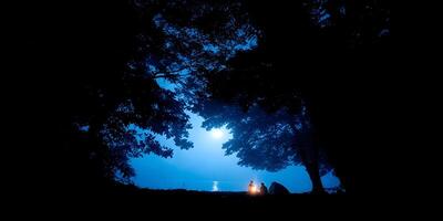 Silhouette of Two Campers by a Lake at Night Under the Moonlight photo