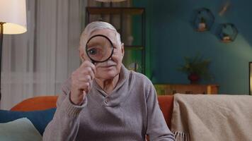 Portrait Of Senior Grandfather Man Looking Through Magnifying Glass As If Reading Researching Investigating Examining, Analyzing Something. Mature Old Granpa Sitting On Sofa At Home Looking At Camera video