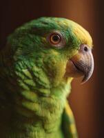 An intelligent parrot with a meaningful gaze and slight head inclination photo